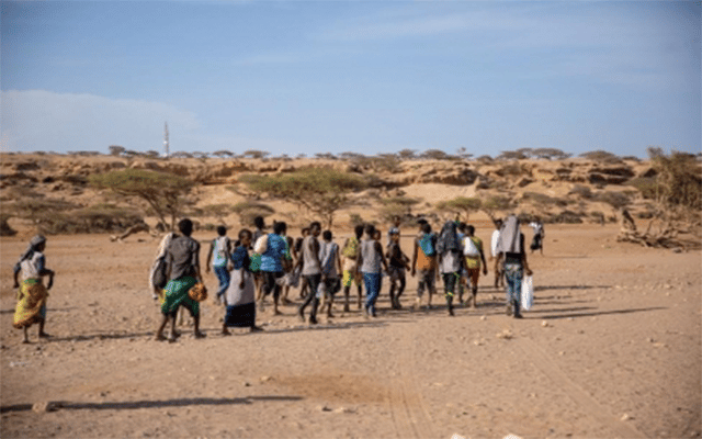 IOM needs $93.4 mn in funds for Horn of Africa