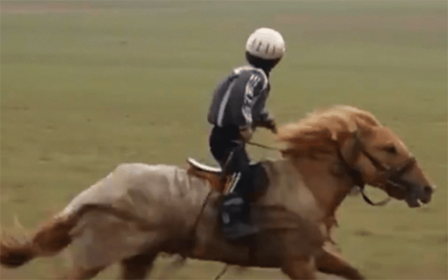 Mongolia raises legal minimum age of child jockeys to 8