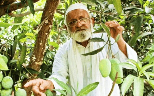 This man and his tree are back in news this mango season