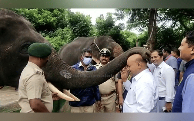 governor visits elephant camp in kodagu