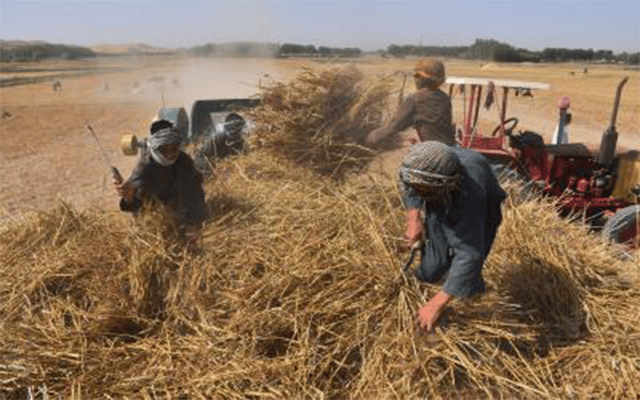 $80mn US contribution to back agri projects in Afghanistan