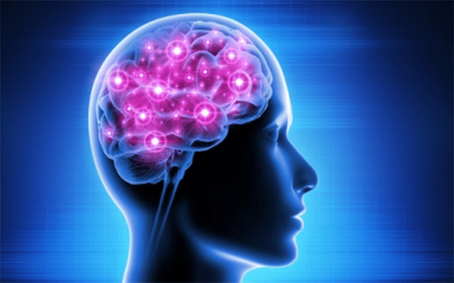 Brain signals may determine your memory performance