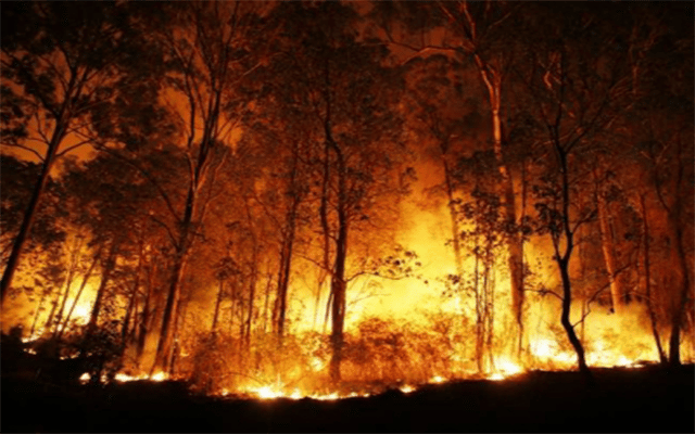 Forest fires in Russia burn over 100,000 hectares in 3 days
