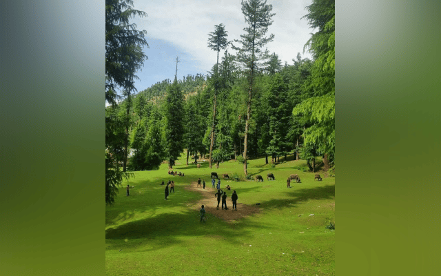 Mainly dry weather likely in J&K