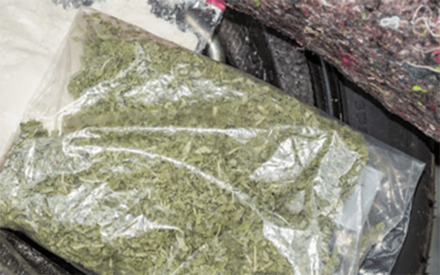 NCB team arrests 4 drug peddlers, recovers 206 kg cannabis