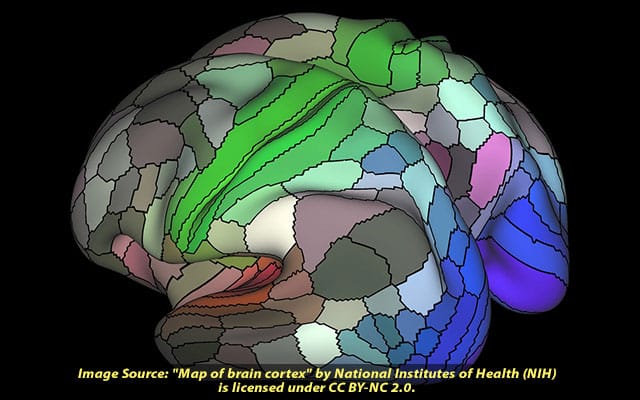 New tools researchers are using to map brain structure function