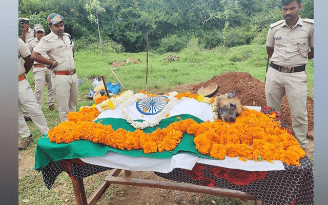 Sniffer dog Rana cremated