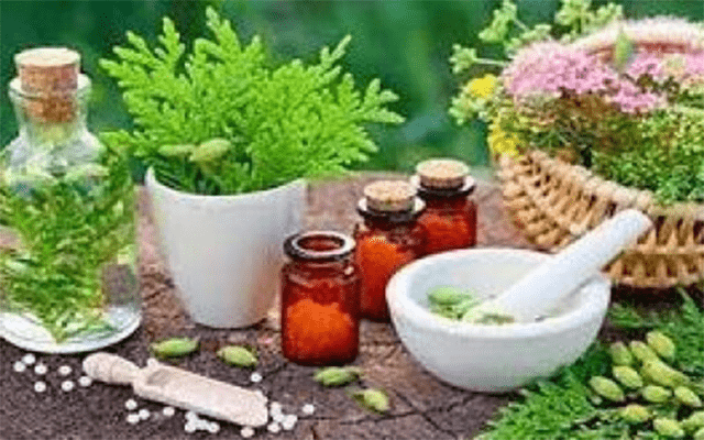 UP's 1st naturopathy centre in Varanasi planned
