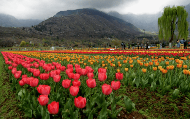 Partly cloudy weather in J&K during next 24 hrs
