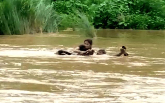 Visakhapatnam: Andhra woman wades through river to write exam