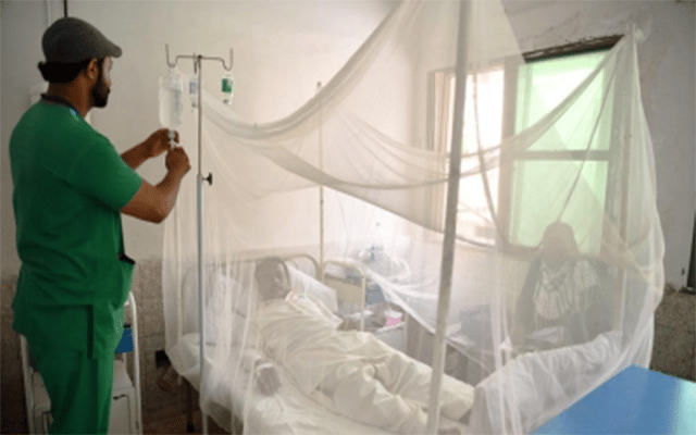 Dengue cases continue to spike in Pakistan