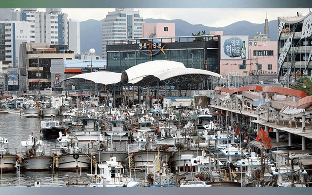 Fishing boats are docked at a port in Pohang