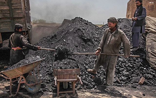 NTPCs coal production rose 62 to 736 million MT in August