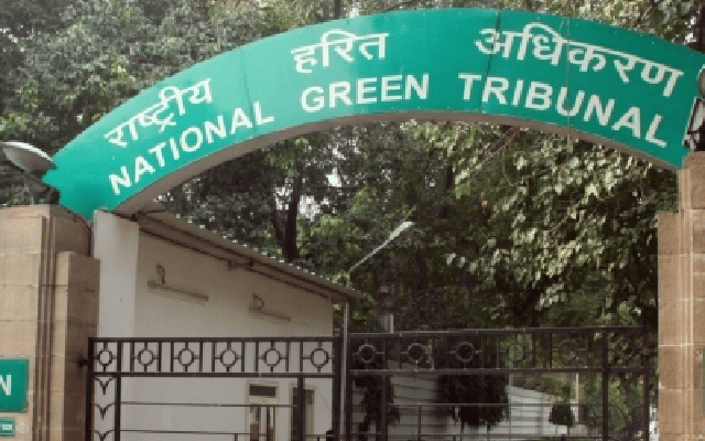 NGT directs