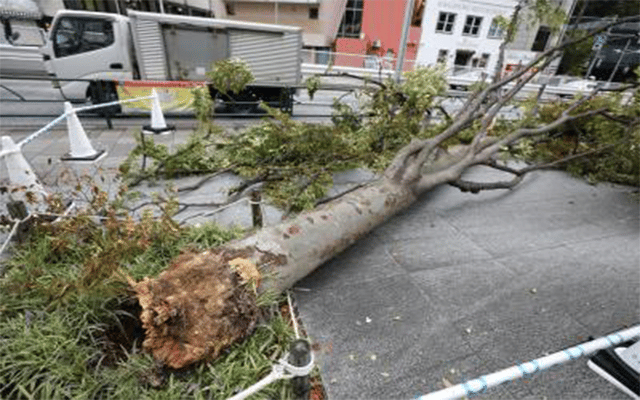 Japan: Typhoon lashes Okinawa islands, evacuation ordered