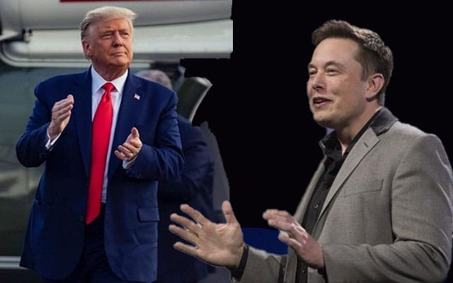 Elon Musk reinstates Donald Trump on Twitter