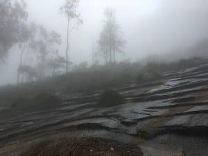 Fog On Nandi Hills