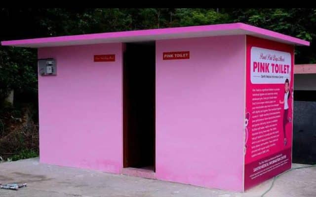 Pink Toilet