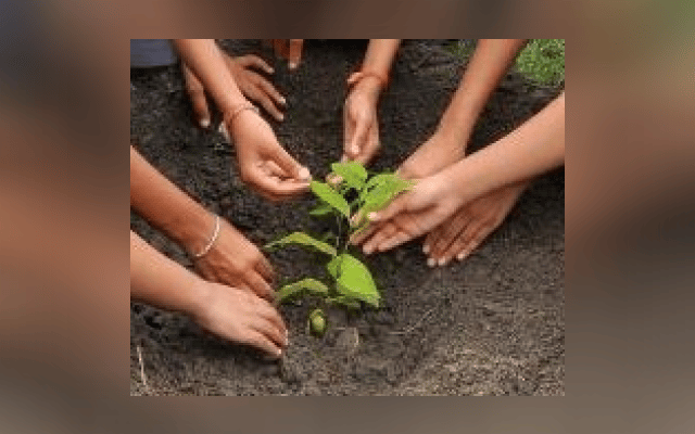 TN district to create world record by planting 6L tree saplings in 6 hrs