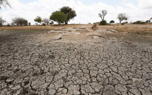 Ankara: Turkey hit by severe drought amid lack of rain
