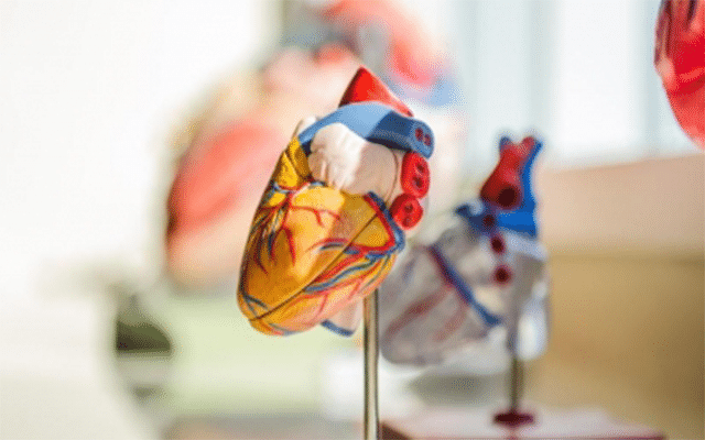 Even mild Covid made arteries stiffer, raising cardiovascular risks