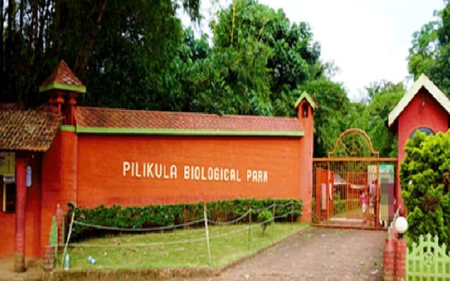 pilikula zoo