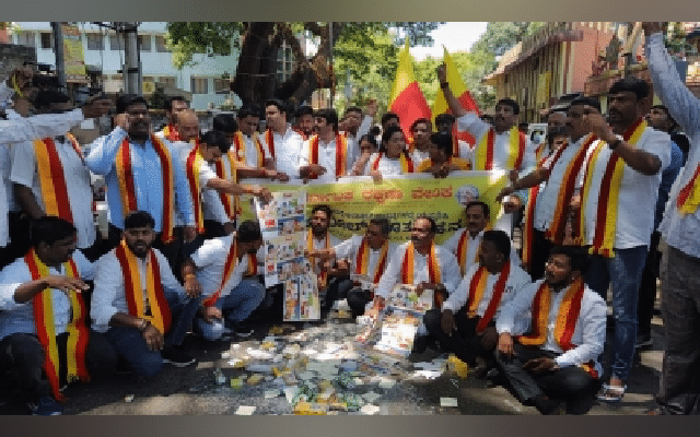 Kannada activists
