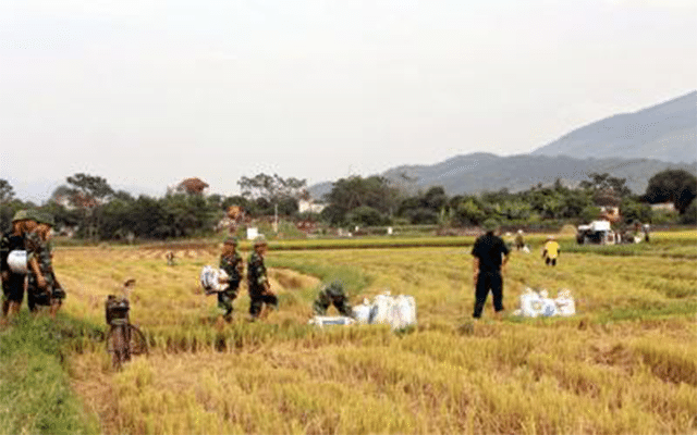 Hanoi: Vietnam promotes sustainable agriculture