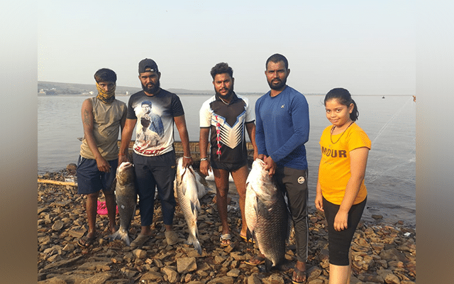 Vijayapura: Almatti dam backwaters is place to catch big fish now