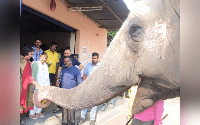 Tumakuru: Geeta Shiva Rajkumar visits Dr Rajkumar fan hotel