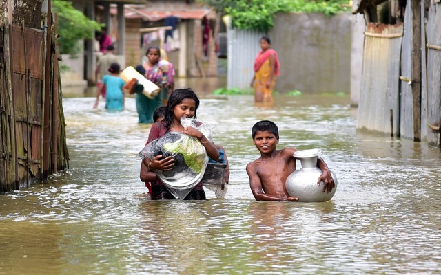 Picture from Assam floods.