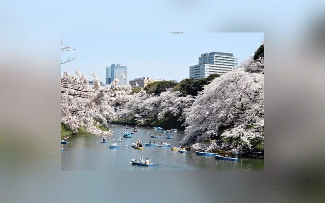 Tokyo: Foreign visitors to Japan reached 1.89 mn in May