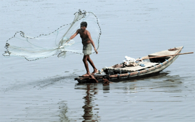 Panaji: NFF demands action against illegal fish catching
