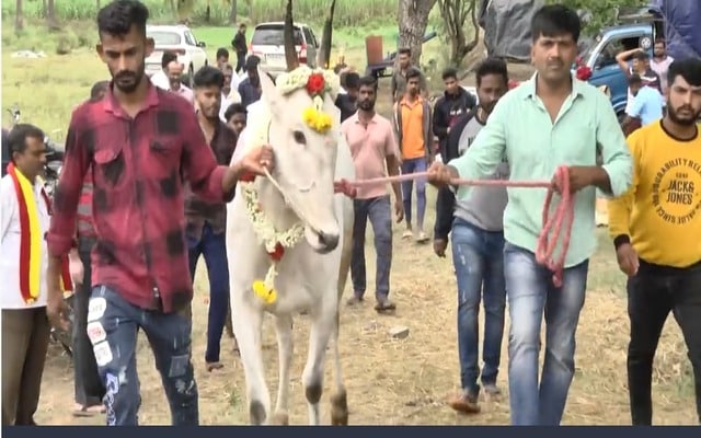 Nineteen Year Old Dies When Bull Hits Him at Race