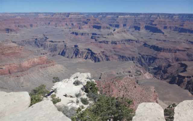 Minor boy survives after falling 100-ft from Grand Canyon