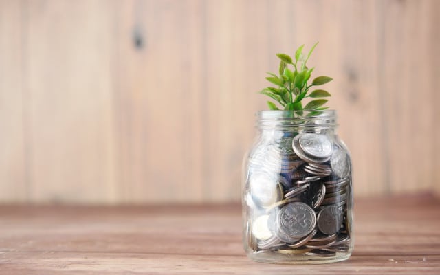 Mutual Fund - Money Grows like a tree