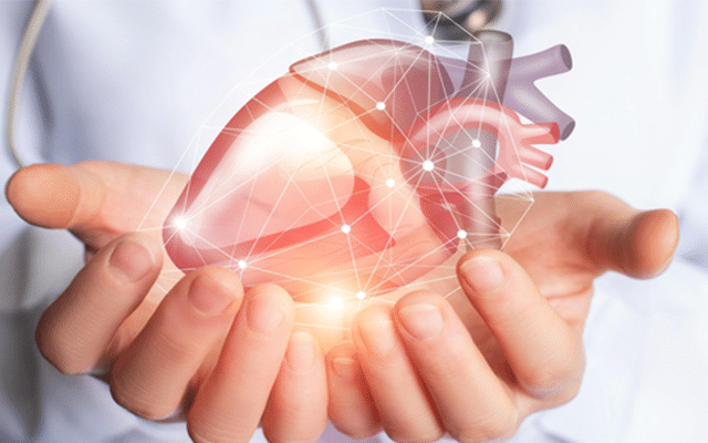 Traumatic brain injury may raise risk of heart diseases: Study