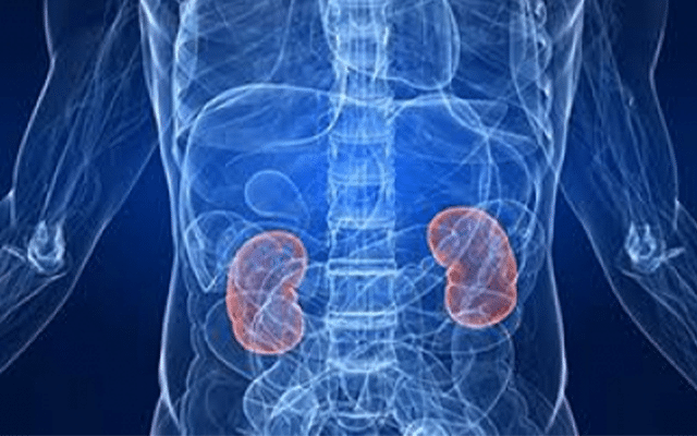 Scientists find genetic code behind rare kidney cancer