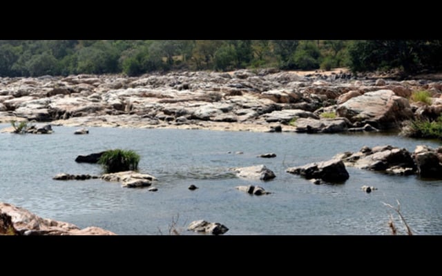 Cauvery water