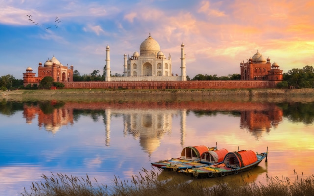 An concerning issue has surfaced once again as the new tourist season in Agra gets underway: the growth of bacterial and insect colonies on the famous white marble surface of the Taj Mahal.