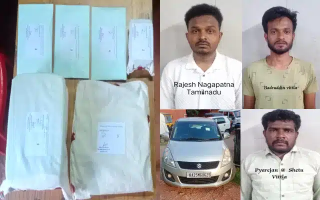 Three people were taken into custody by Mangaluru's City Crime Branch (CCB) police for possessing ambergris, also referred to as whale vomit, following a major operation. The arrests took place close to Pumpwell as a result of reliable information regarding an organization seeking to participate in the illicit ambergris trade.