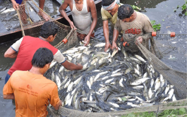 UP tops in pisciculture, to be awarded next week